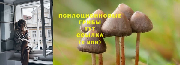 первитин Володарск