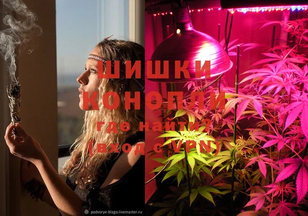 спайс Билибино